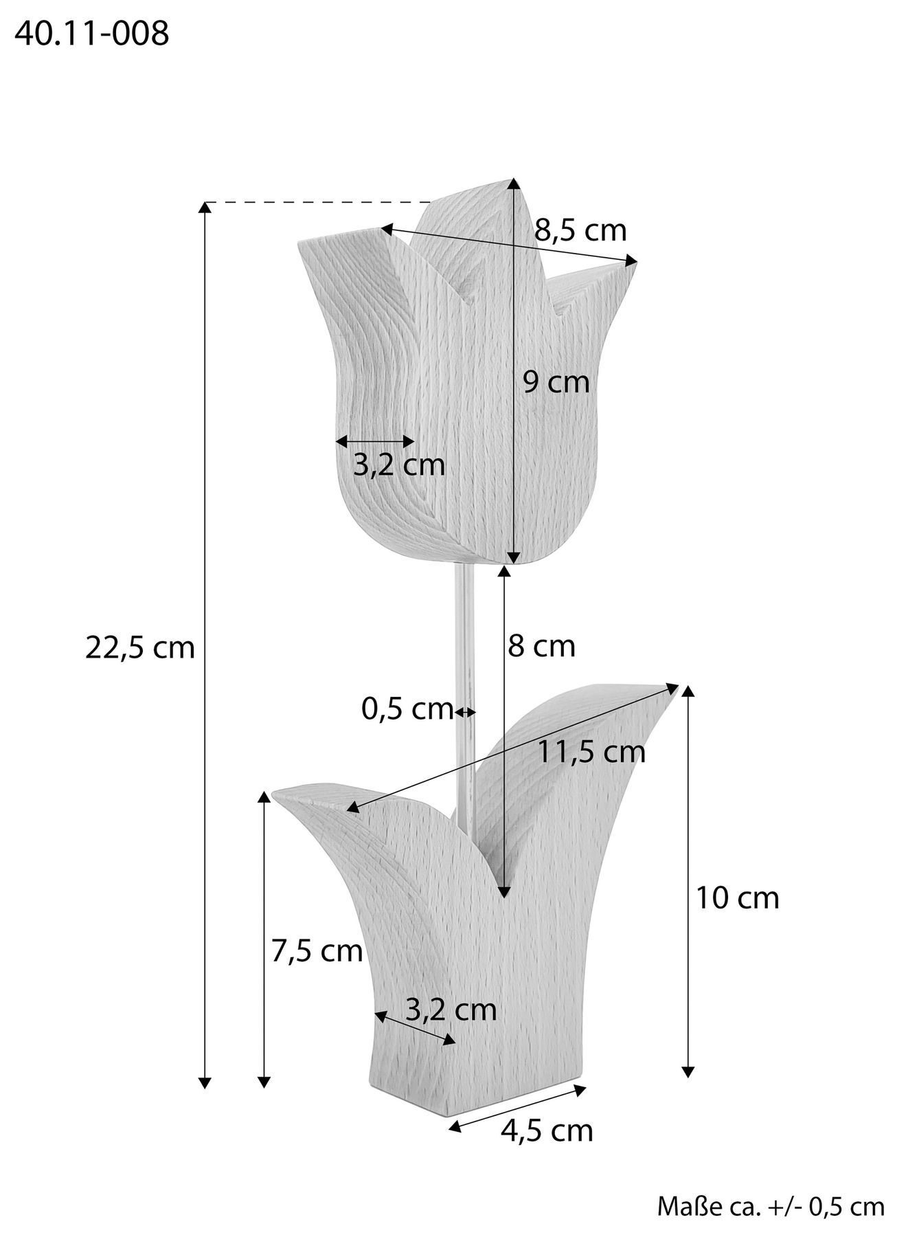 Diagramm, Handlung, Maßskizze der kleinen Holztulpe