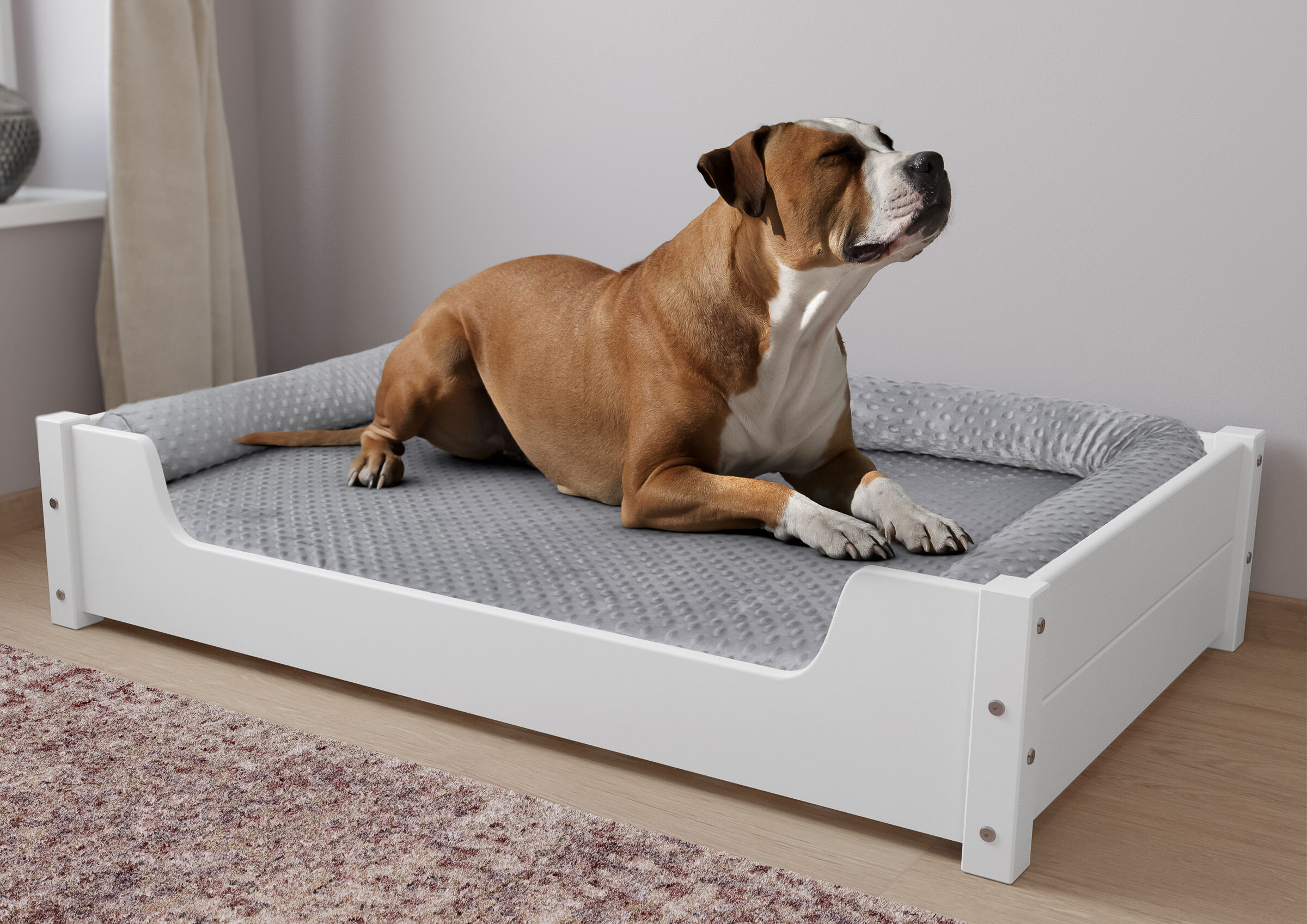Hundebett, Kudde, Holzrahmen, graue Matratze, brauner Hund, Hundebett weiß für große Hunde