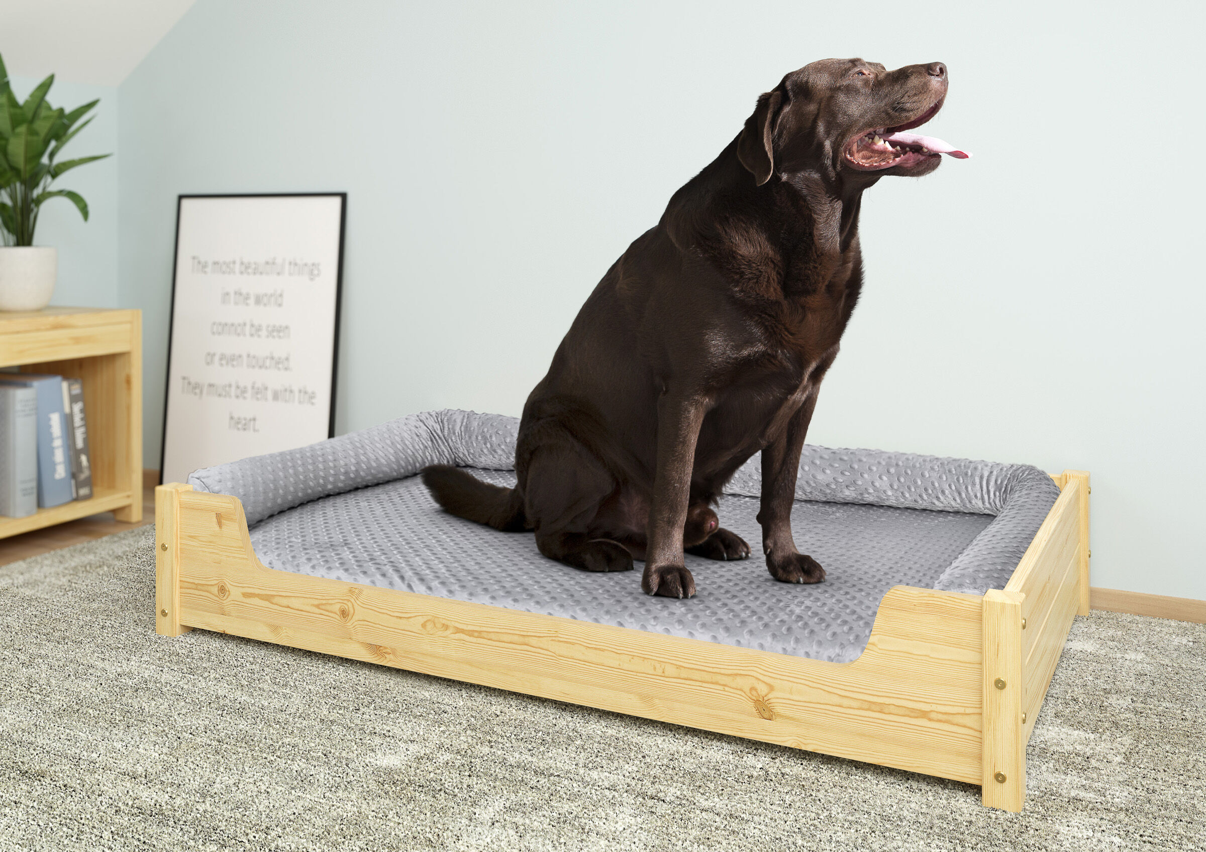 Hundebett, Palmäiner, Holzbett, graues Bettlaken, Hund,