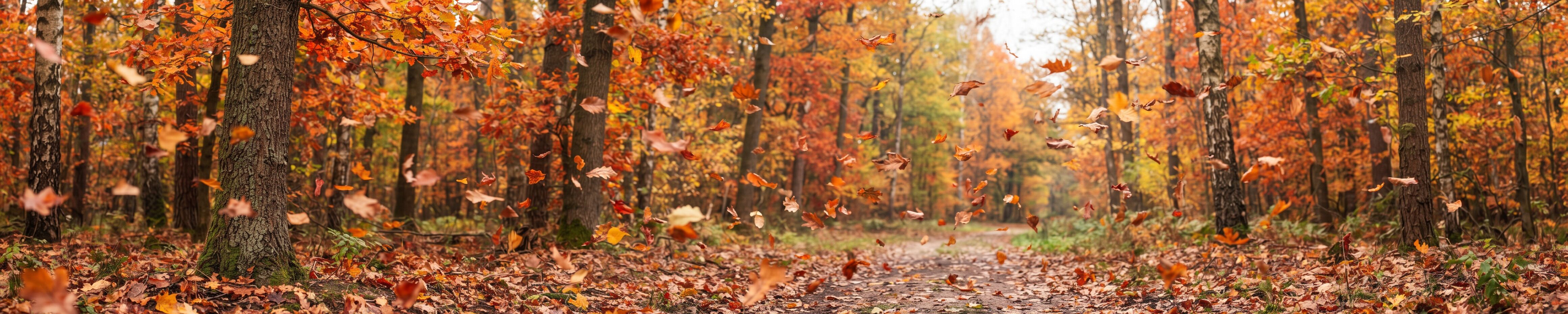 Hintergrundbild Herbst