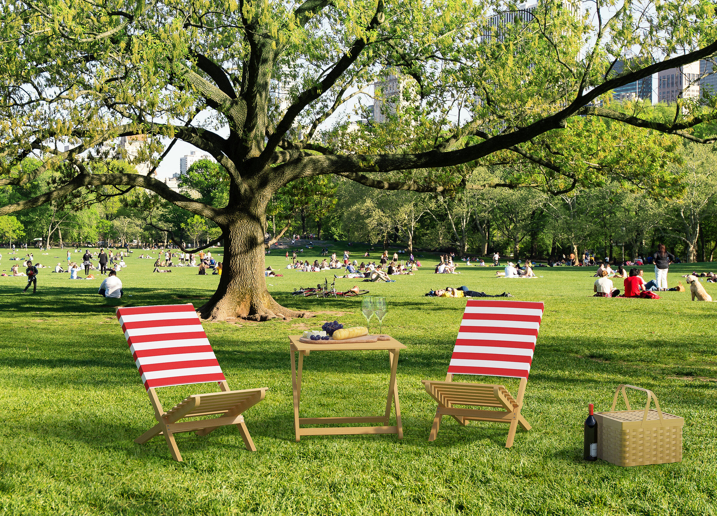 Picnic, Park, Tisch, Wein, Flasche, kleiner Parkstuhl