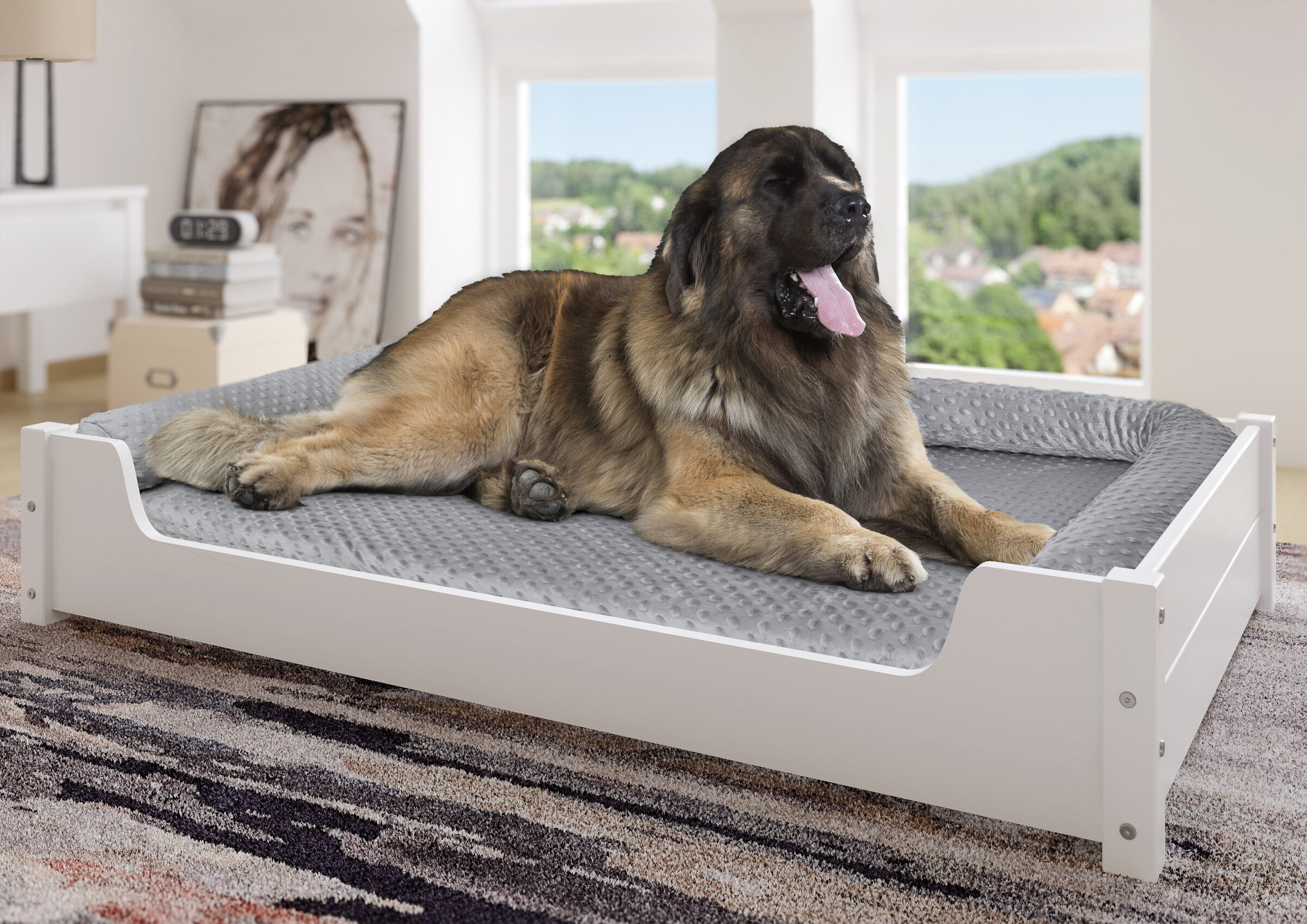 Hund, Hundebett, Boxbett, Langhaar, Tierhautschutz,