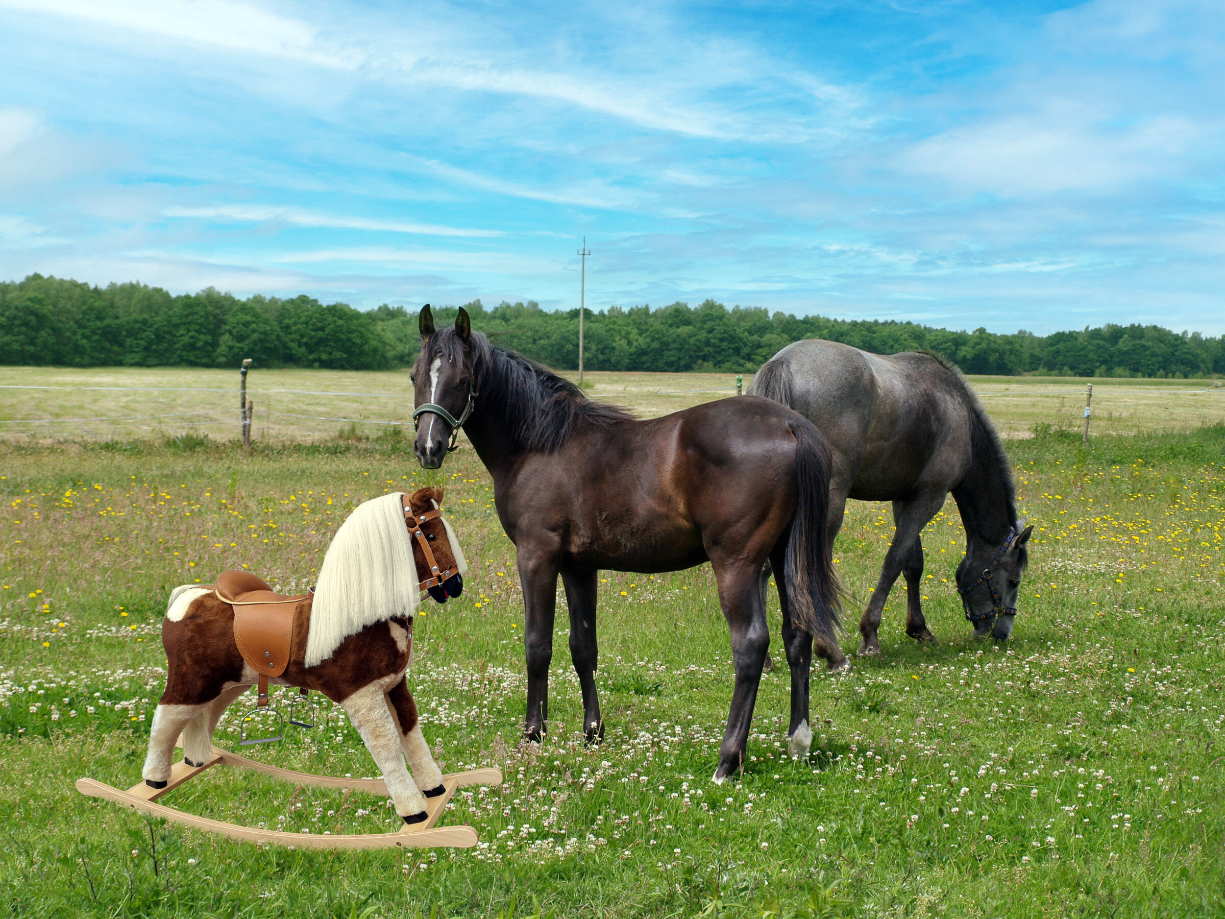 Pferd, Pferde, Pony, Hengst, Westernreit-Set, Pferdekoppel mit Holzschaukelpferd