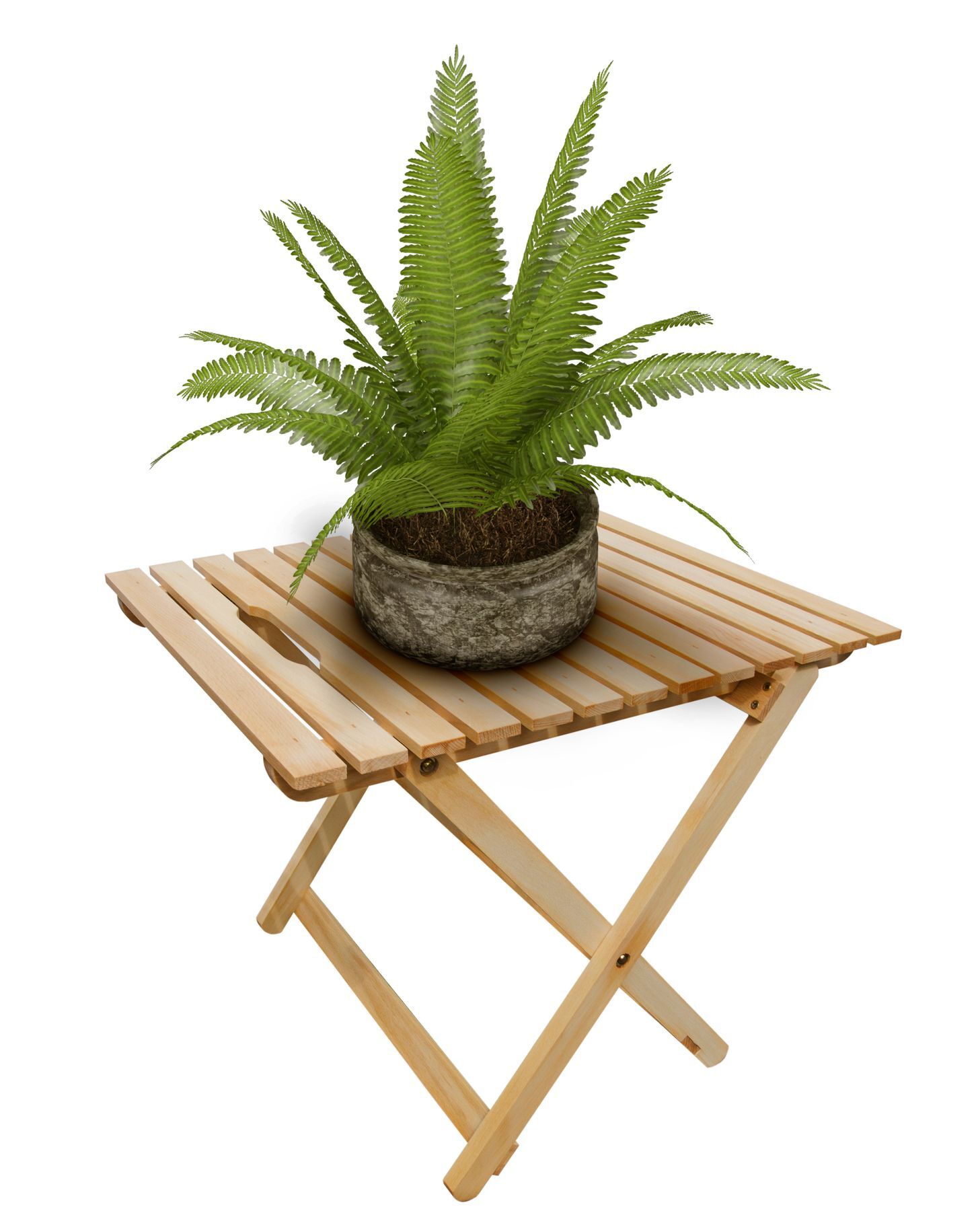 pflanze, fern, topf, pflanzentisch, holzklapptisch, kleines Tischchen aus hellem Bucheholz