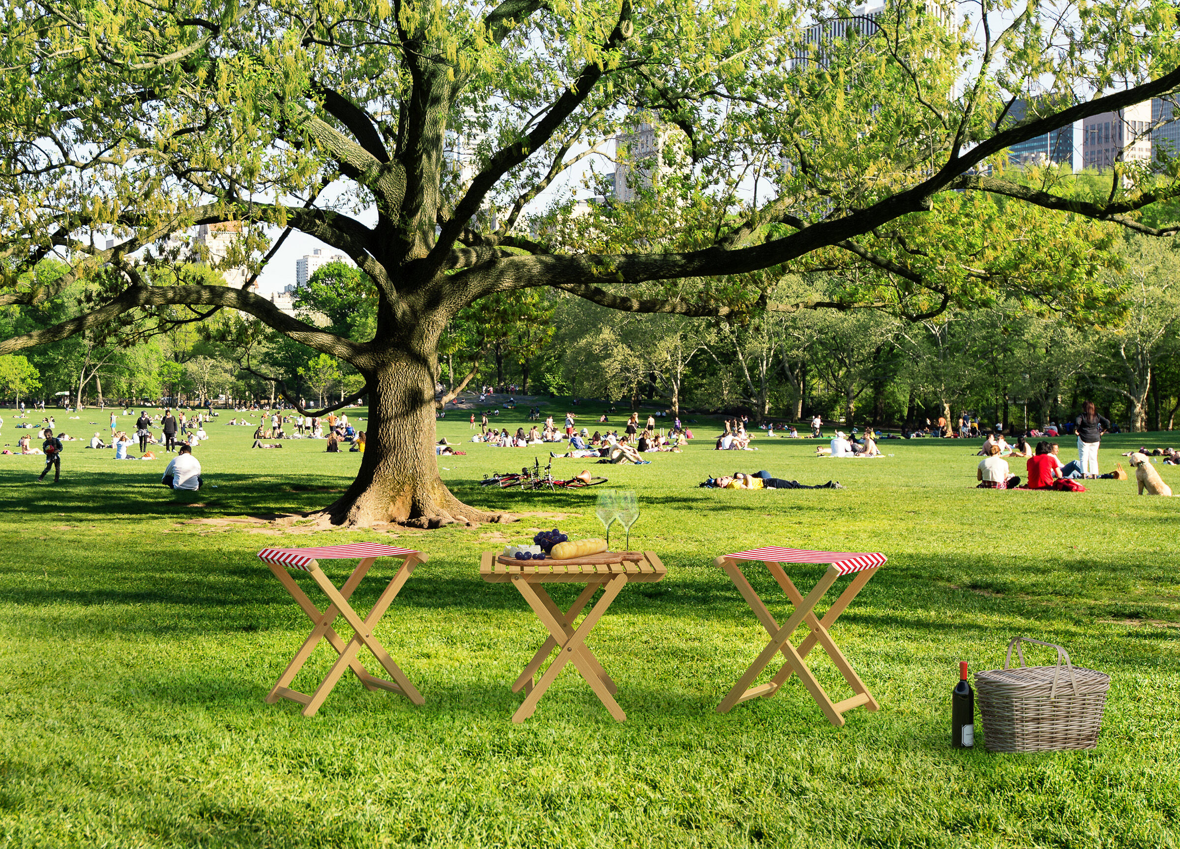 Gras, Park, Rasen, Baum, Person,
