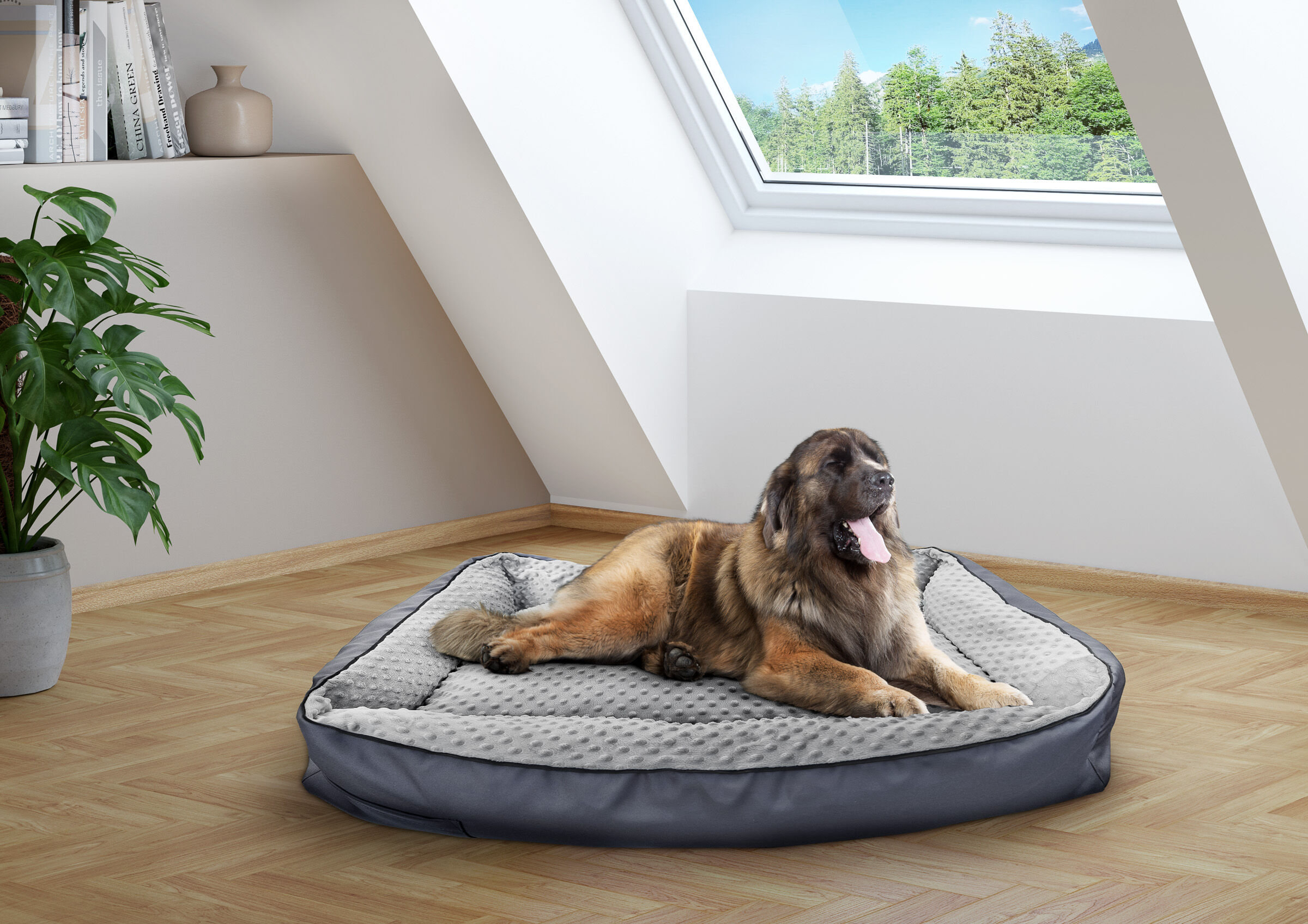 Hundebett, Hundekissen, Erkerzimmer, Dog bed, grau, Zimmerbild großes Hundebett