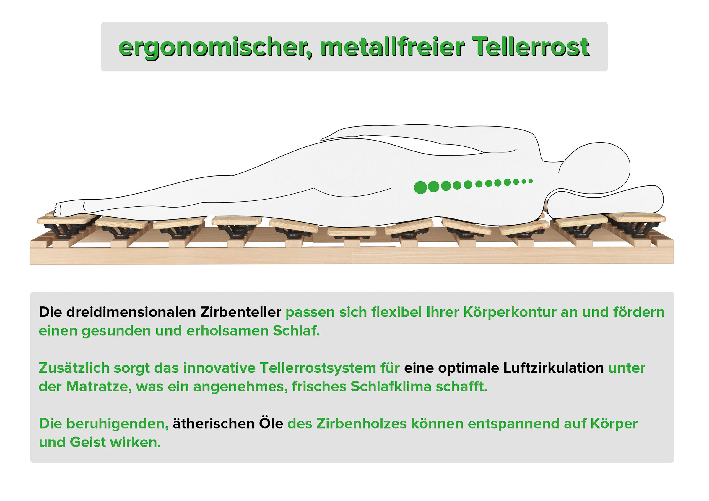 Wichtige Punkte des Echtholzrostes Hauptpunkte des Tellerrostes