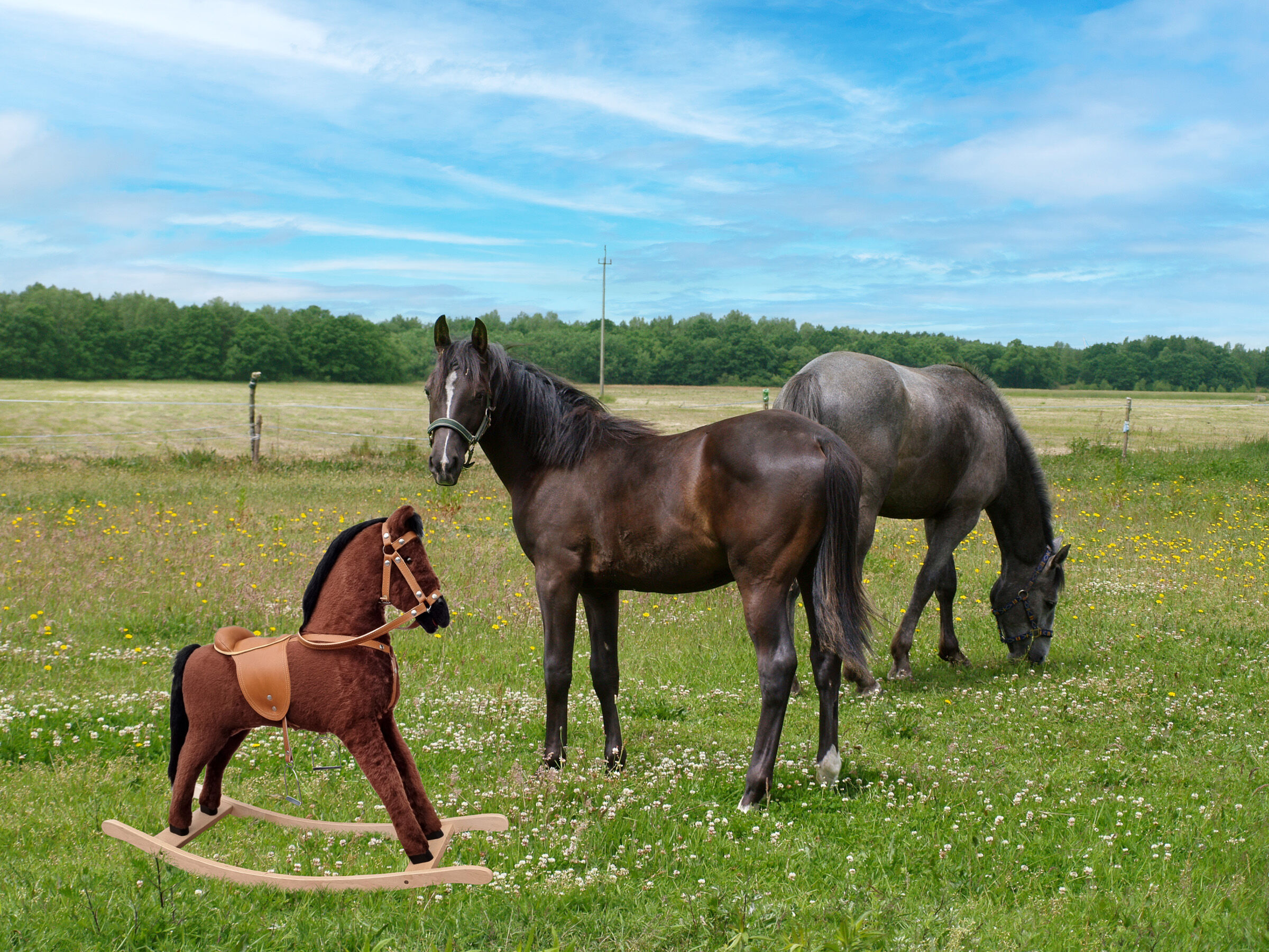 pferd, ponny, rocking horse, wald?, Holzpferd auf Pferdekoppel
